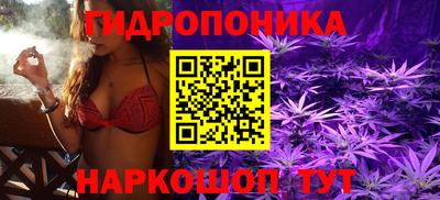 ПСИЛОЦИБИНОВЫЕ ГРИБЫ Гусь-Хрустальный