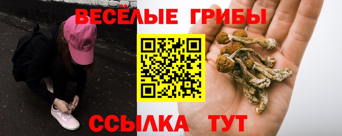 Псилоцибиновые грибы прущие грибы Ликино-Дулёво