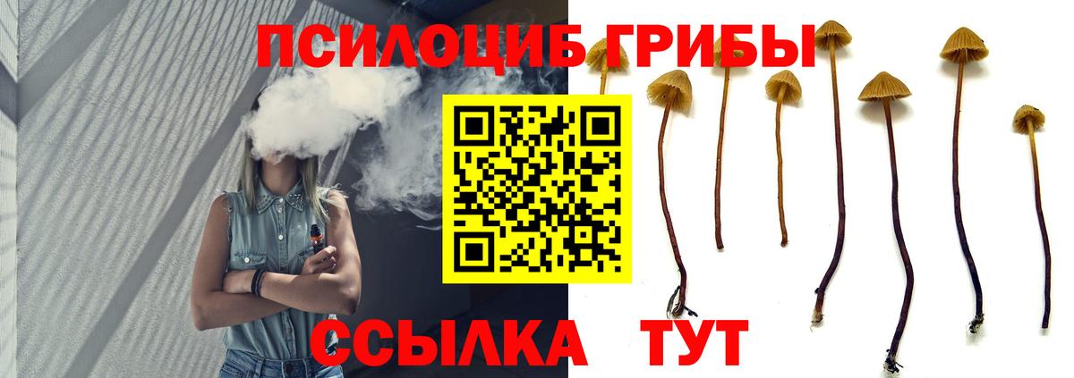 Псилоцибиновые грибы мицелий  Вход с VPN  как найти закладки  Ликино-Дулёво  Псилоцибиновые грибы Psilocybe 